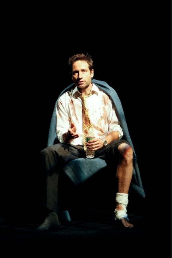 David Duchovny Photo